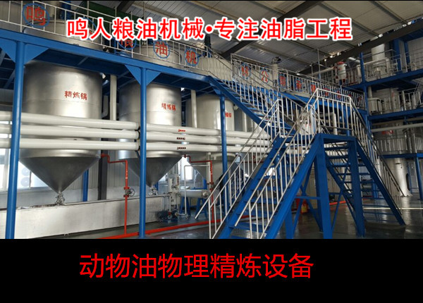 動物油物理精煉設備